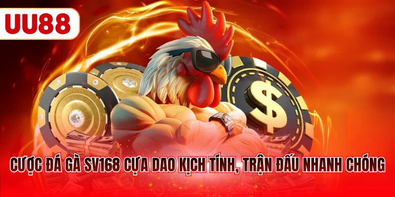 Cược đá gà SV168 cựa dao kịch tính, trận đấu nhanh chóng