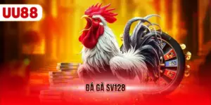 Đá gà SV128